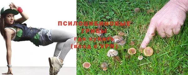 прущая мука Белокуриха